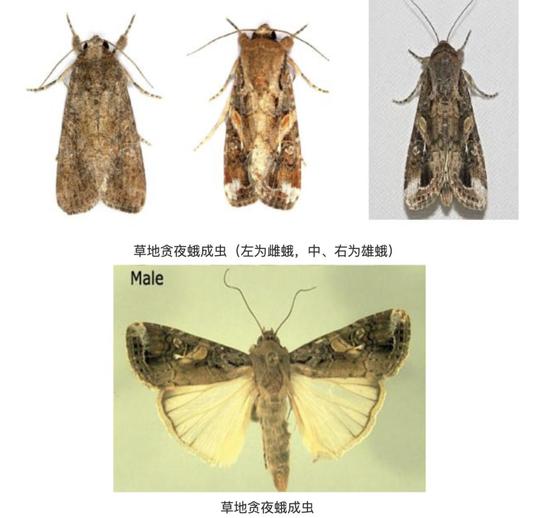图片来源:福建省农村农业厅官网