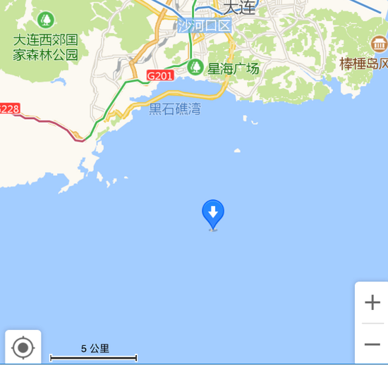 罕见!辽宁海域现成群大型海兽 在海中弓身而行