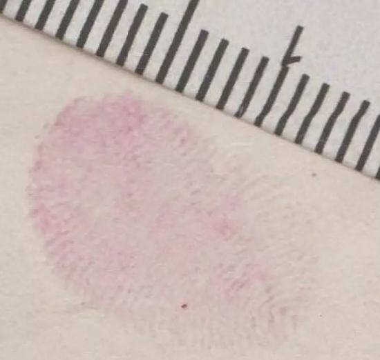 涉命案“高颜值”女嫌犯新年继续被通缉 悬赏