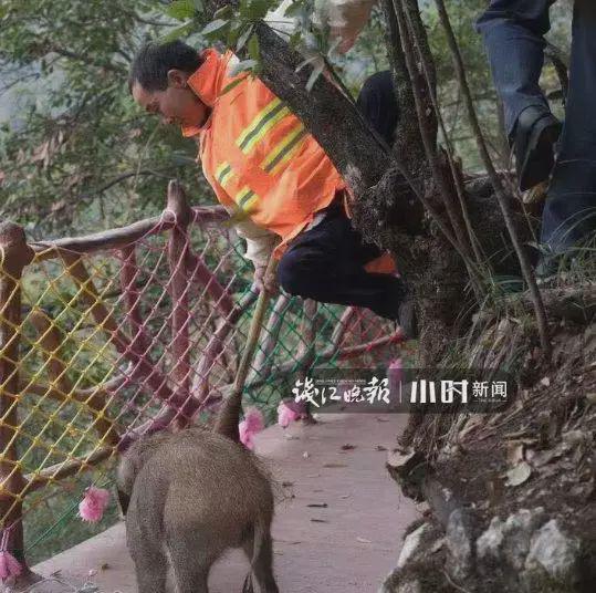皇冠赔率中文网,南方基金鱼晋华:量体裁衣 三场景助力投资者生财有道
