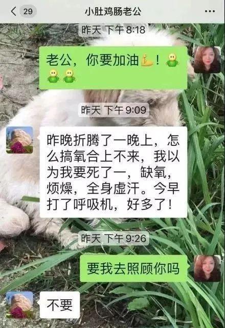刘智明与妻子聊天截图