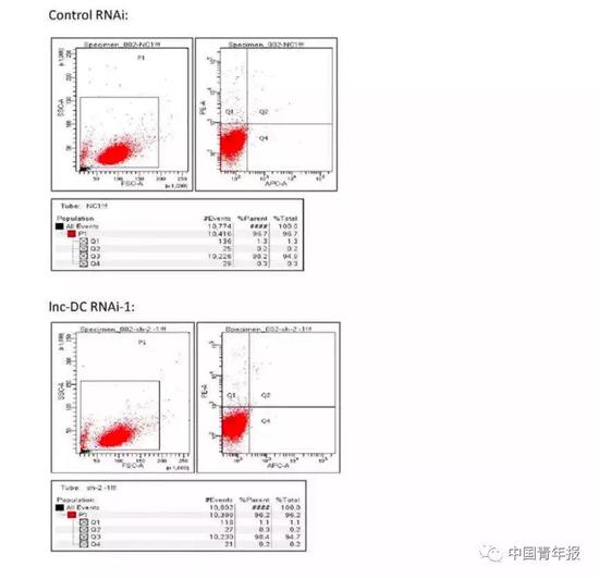 云顶国际博彩可靠吗·庄德双色球19146期:6+2四元小投