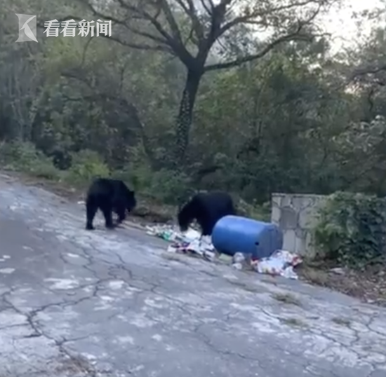 美高梅棋牌怎么赢钱|黄晓明都成十大股东了 还不承认卷入18亿股票操纵案