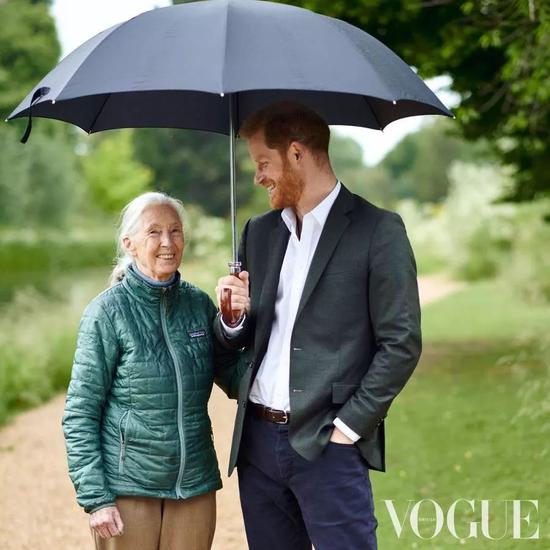 英国哈里王子:出于环保考虑 最多只会要两个孩子|哈里王子|环保 英国哈里王子:出于环保考虑 最多只会要两个孩子|哈里王子|环保