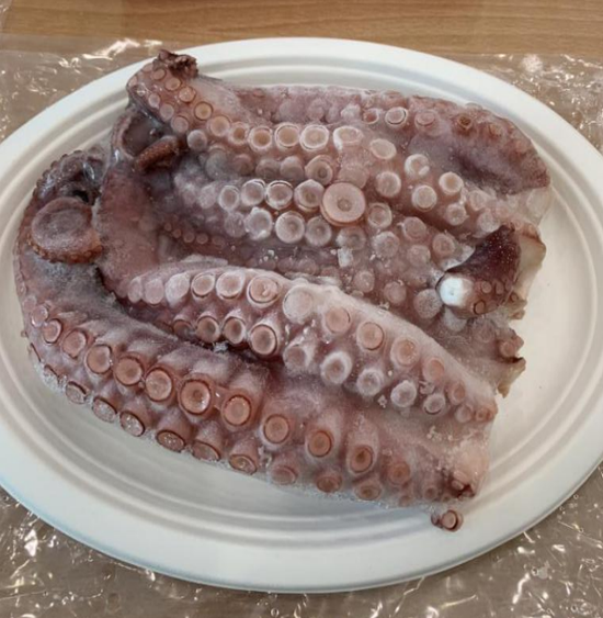 上述圖片為章魚足