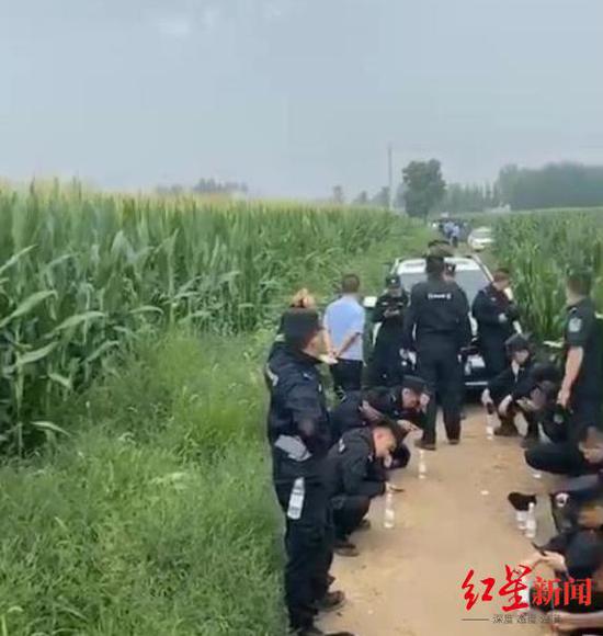 河北任丘一女孩遭绑架杀害 警方通报嫌疑人已被抓获
