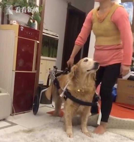 为什么赌博违法·大医院“无人排队”是个啥画风