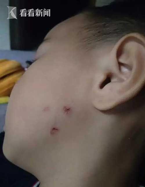赌博游戏押庄押闲玩法·台湾地区领导人可随便被“玩”?蔡英文表态遭嘲