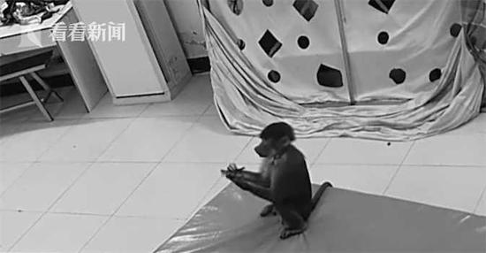 「九州体育吧」滨州公安走进校园,讲解骗子们的“工作情况”