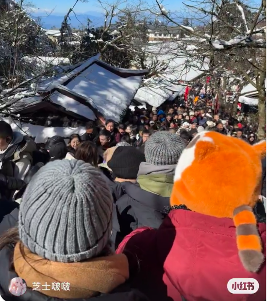 28加拿大投注技巧
