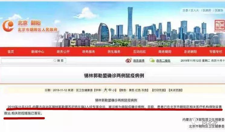 「bbin会骗人吗」上海国际马拉松赛名额免费送!@热爱运动的你
