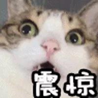 王者荣耀博彩公司,《中国新说唱》明星现身帮唱 刘宪华钱正昊等助阵
