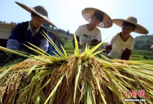 资料图。吴练勋 摄