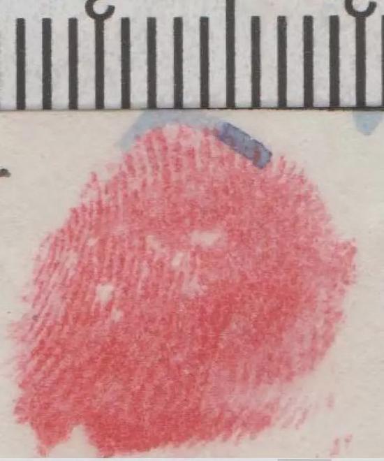 涉命案“高颜值”女嫌犯新年继续被通缉 悬赏