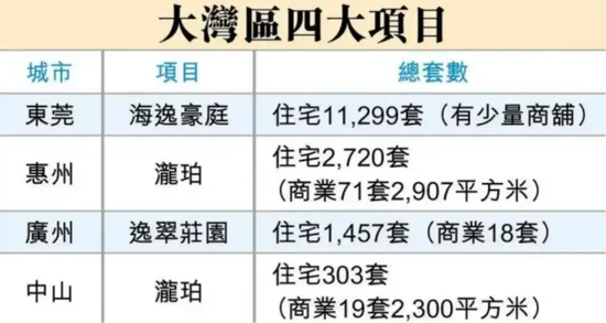 “有香港客户包车来看房”,最低40万元一套,李嘉诚家族降价推售大湾区400套房源