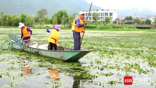 6月30日，当地村民在洱海中打捞水草。