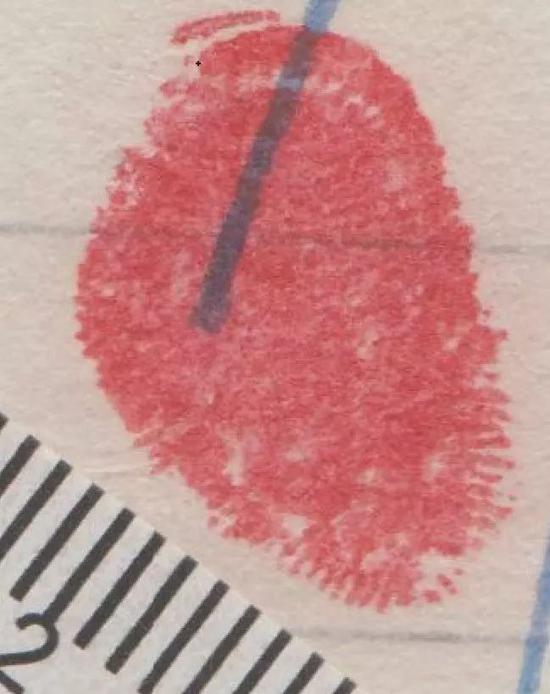 涉命案“高颜值”女嫌犯新年继续被通缉 悬赏