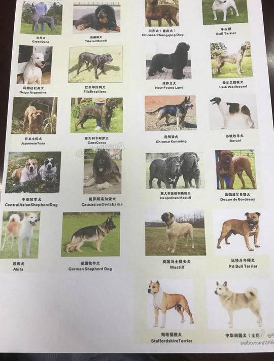 成都市养犬限养区禁养22种烈性犬