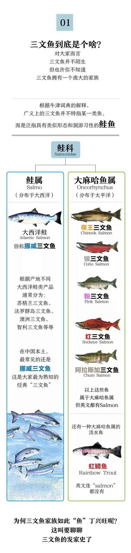 ▲图片来源：新京报绘聊。