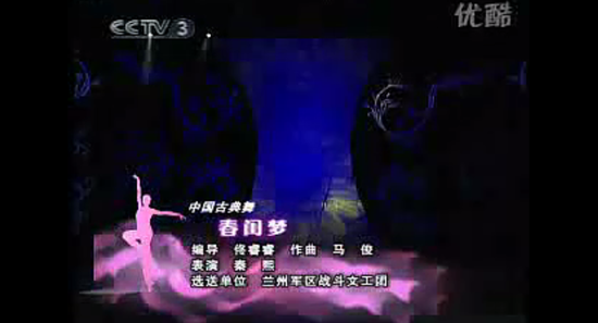 CCTV3播出的片段