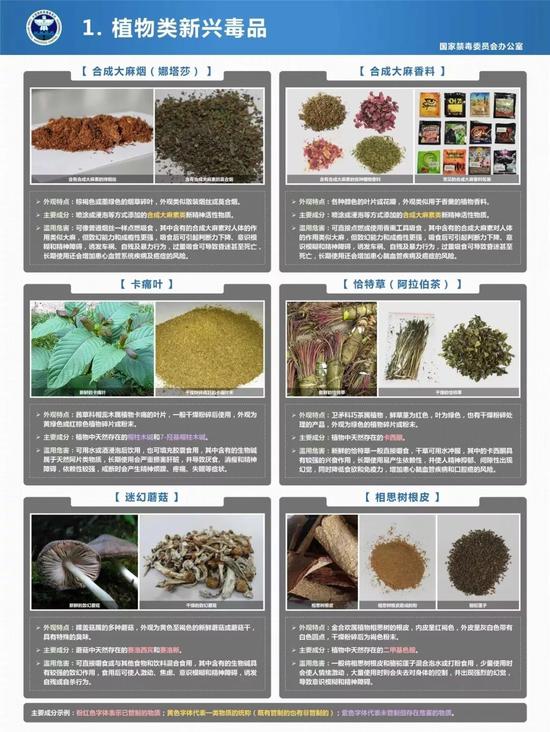龙鑫开户网址|黎雄才:国画要有国画的韵味,没有笔墨就不成中国画