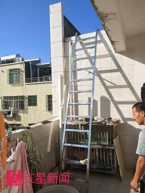 ▲廖背书此前与李某丰住在六楼,需要用云梯才能上楼顶。受访者供图