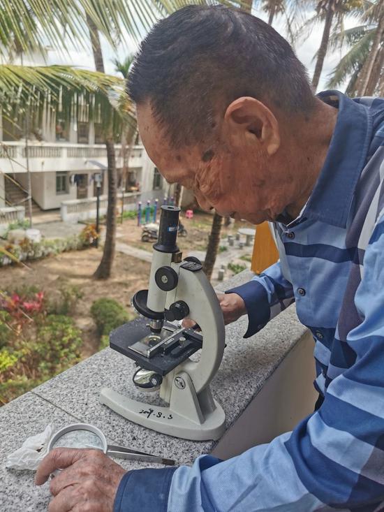 袁隆平在视察稻种。湖南杂交水稻研究中央供图