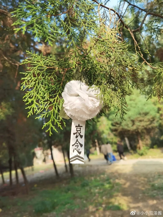 开云体育东电申请审查测定排海核污水中30种放射性物质的计划 开云体育东电申请审查测定排海核污水中30种放射性物质的计划