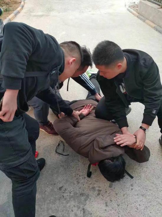 澳门博彩集澳门博彩集团-21只走私穿山甲健康严重受损,社会各界紧急救护