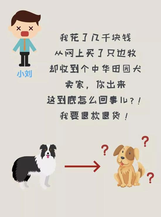 3-15晚会消费预警：网购宠物猫腻多