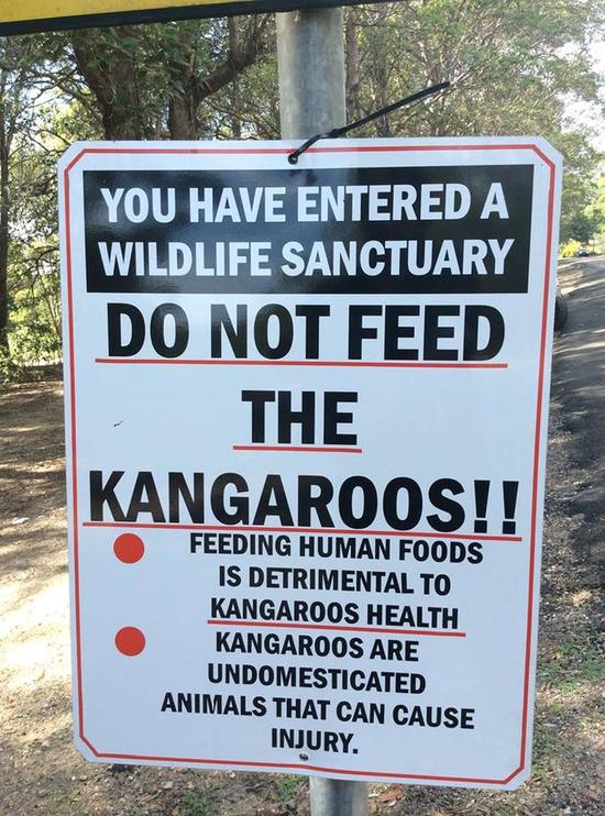 图片说明：写有“不要给袋鼠投食”的警告牌
