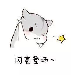 千禧线上娱乐,最前线 | 金山WPS要上市了,这是雷军实控的第三家上市公司