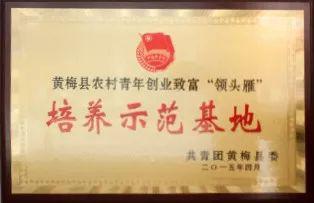 湖北一地万元月薪留不住人才 年轻人：找女友困难