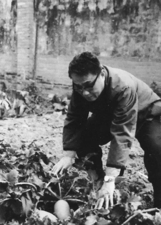 △在自家小院回归农民本色