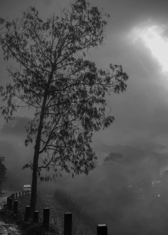 连接者东镇和村子的盘山公路,早上或下雨天,山间经常飘起雾(金海 摄)