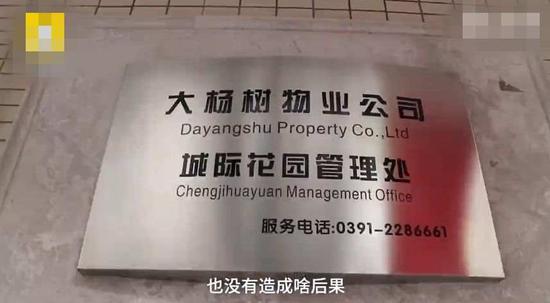 么么堂娱乐总代理_成群红嘴鸥现身青岛渔港!海鸥带着宝宝回来啦