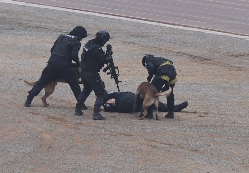 特警队员在警犬协助下将嫌疑人制服。 摄影 新京报记者 吴宁