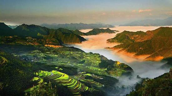 丽水山耕 如何用四年时间做到了生态农业金名