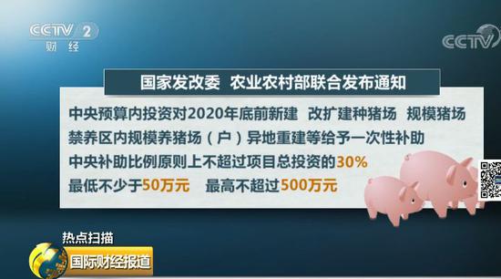多条硬措施稳“猪”:这样养猪国家最高补助500万 多条硬措施稳“猪”:这样养猪国家最高补助500万