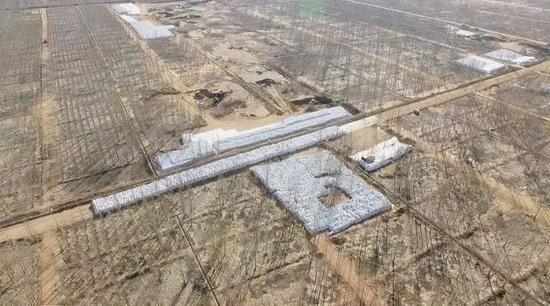 远东国际注册送40|法国总统提前来拜年?1400家品牌独宠天猫,网友:要搬空法国了!
