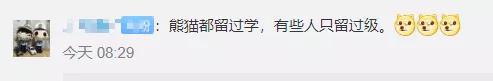 雷速体育app买球 - 超贴心的发明,只想说赶快量产吧