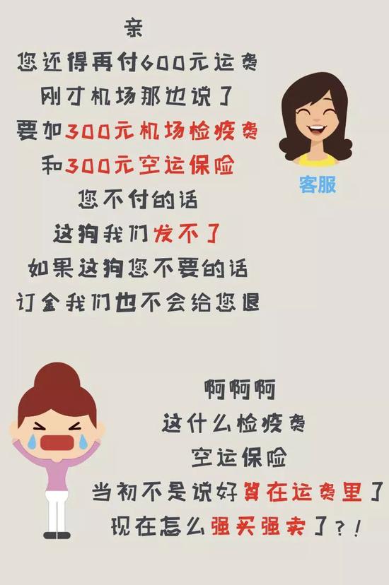 3-15晚会消费预警：网购宠物猫腻多