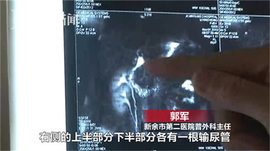 彩客篮球投注 2019中国·宁县城镇化与商贸发展高端论坛举办