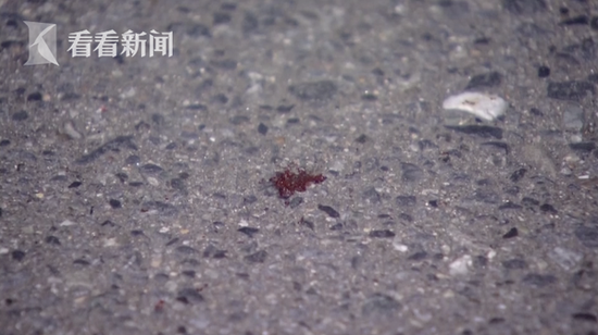 「百乐门娱乐在线」1万8的轿车要复活,比摩托还省油,虽有些古老,但尖叫肯定少不了