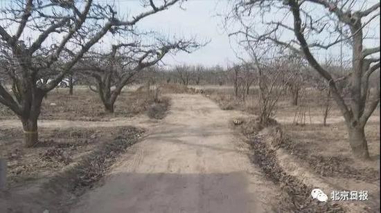 晋州有多少人口