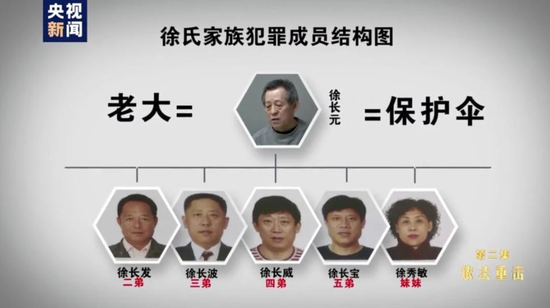 徐氏家族犯罪成员结构图(图源:央视新闻)