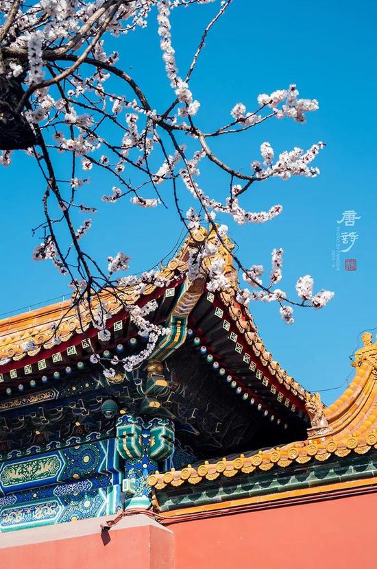 摄影 摄影
