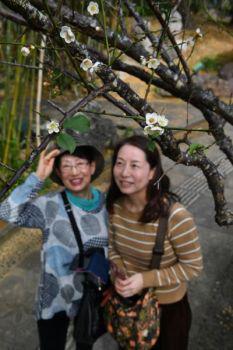 1548984549362365.jpg 【蜗牛棋牌】热热热:日本这个地方1月份27度 创史上最高记录