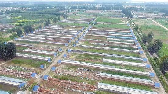 北京市昌平區六合成農業園違規“大棚房”拆除整改清理後全景。