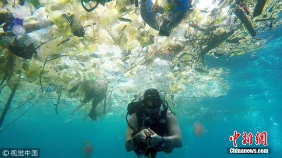 资料图：当地时间2018年3月3日，一名英国男子在巴厘岛海域潜水时拍下触目惊心的一幕。海洋中漂浮着大量塑料垃圾：瓶子、袋子、杯子、桶、吸管等等，鱼类及其他海洋生物都避之而不及。 图片来源：视觉中国